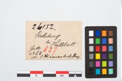 Etikett zu Bronzegürtelbeschlag (NHMW-PRAE-026152)